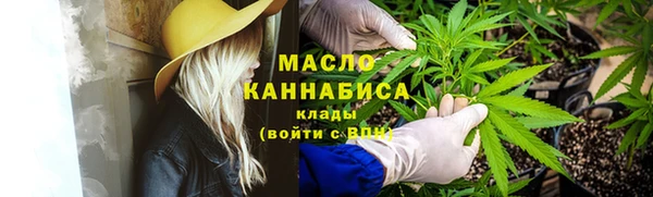 прущий лед Вяземский
