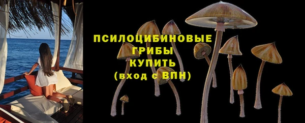 прущий лед Вяземский