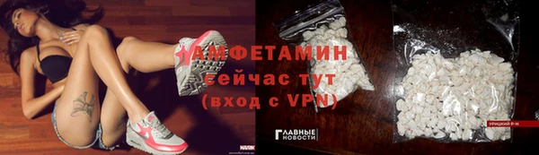 прущий лед Вяземский