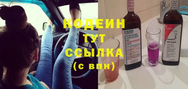 прущий лед Вяземский